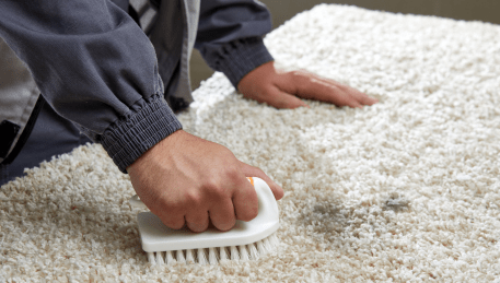 Professional Rug Cleaning Beveridge